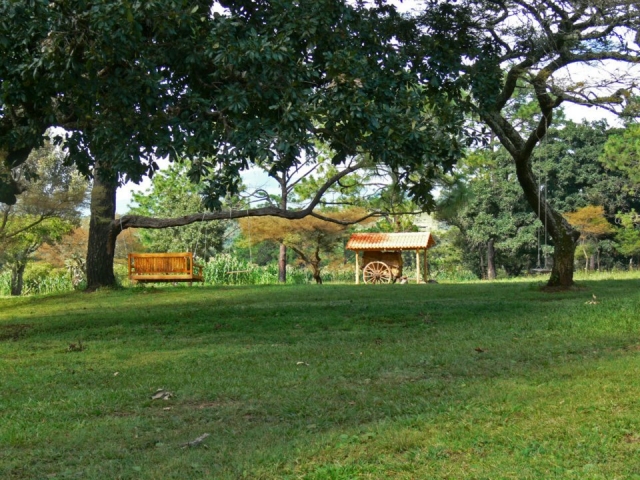 Jardin con columpios